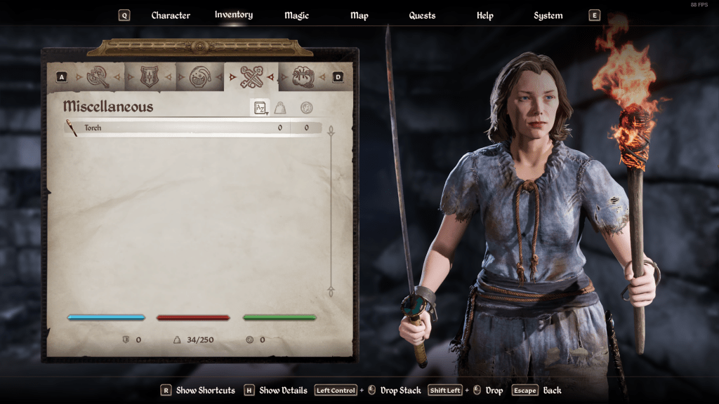 Elder Scrolls IV: Oblivion Nord Character.