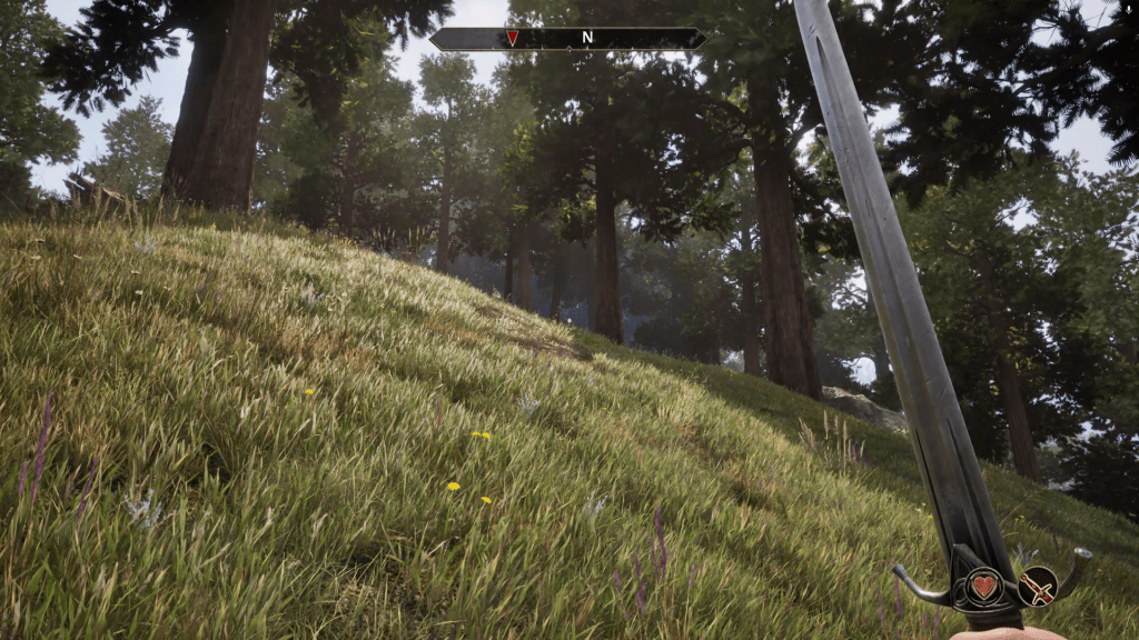 The Elder Scrolls IV Oblivion Remastered Forest Graphics