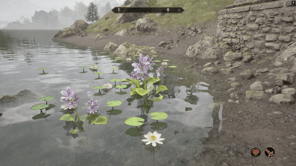 Water effects in Oblivion Remastered Edition.