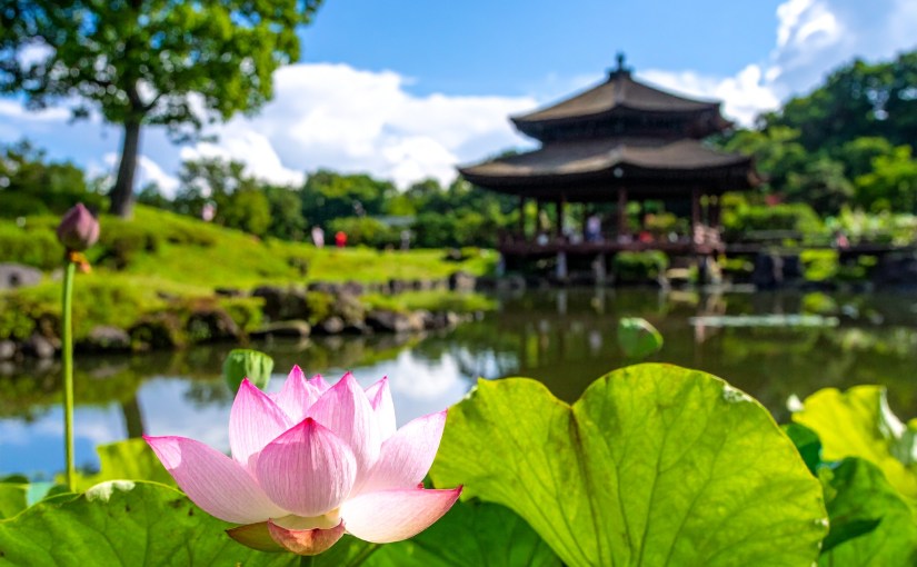 Adobe Express Firefly Image 4 Review in&nbsp;2026