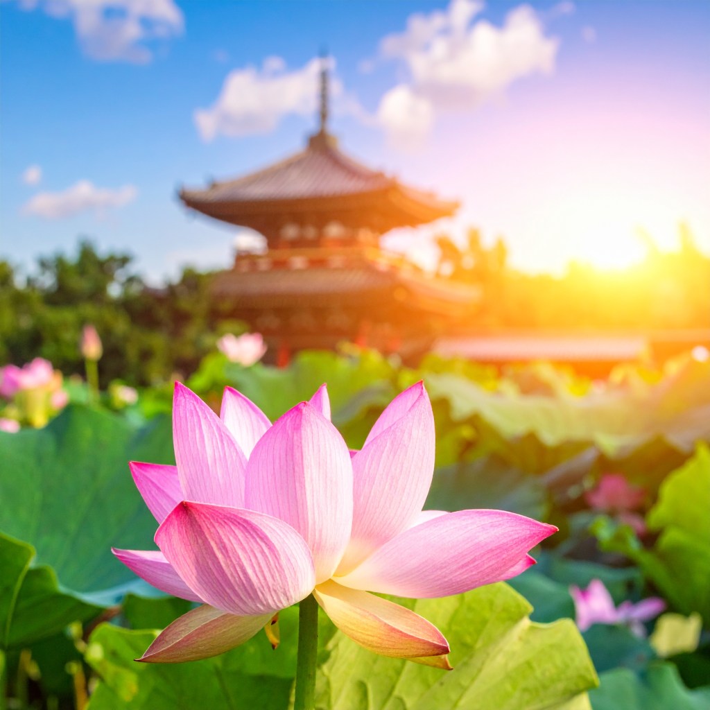 Japan Lotus Flower made in Adobe Firefly 4 Generative AI.